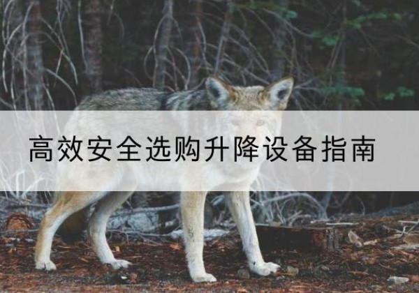 宜州升降货梯厂家推荐-*安全选购升降设备指南