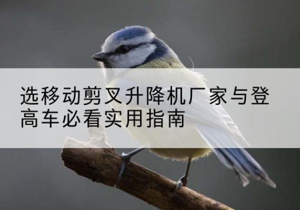 宜州电动升降机厂家-选移动剪叉升降机厂家与登高车必看实用指南
